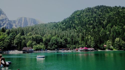 Scenic view of lake by trees against sky