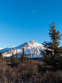 Scenic view of snowcapped mountains against clear blue sky