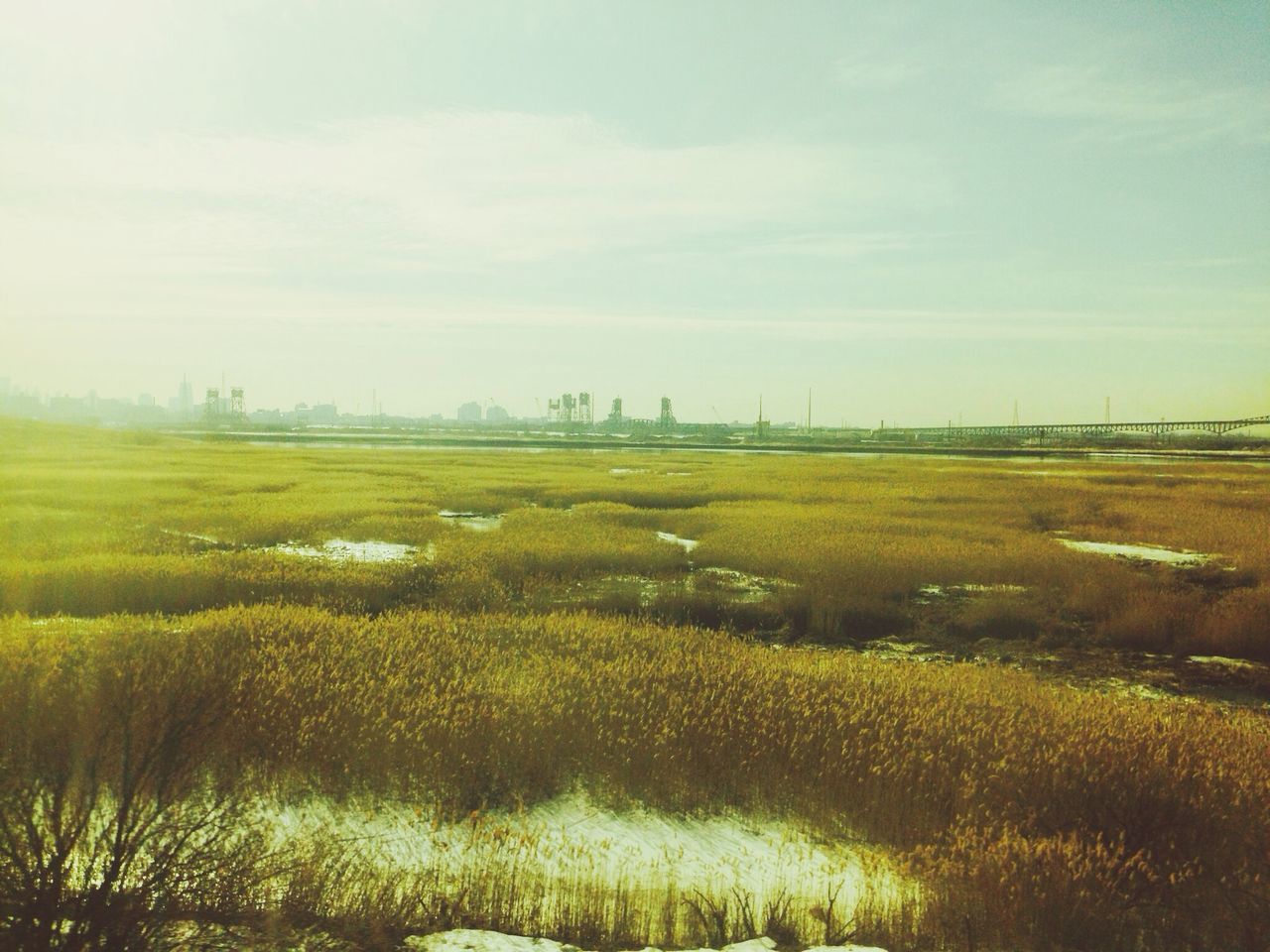 Marshland 