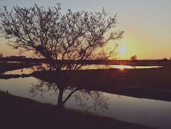 Silhouette of bare tree in lake during sunset