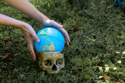 Fake human skull. decorative skull. an artificial human skull and a small globe