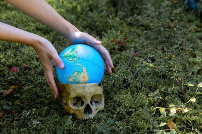 Fake human skull. decorative skull. an artificial human skull and a small globe