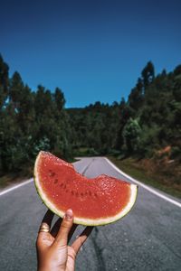 Cropped hand holding melon against clear sky