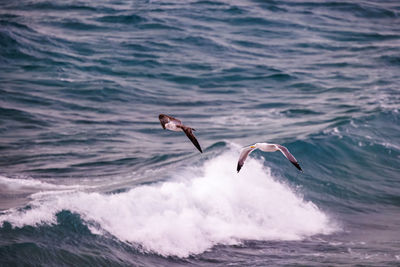 wave