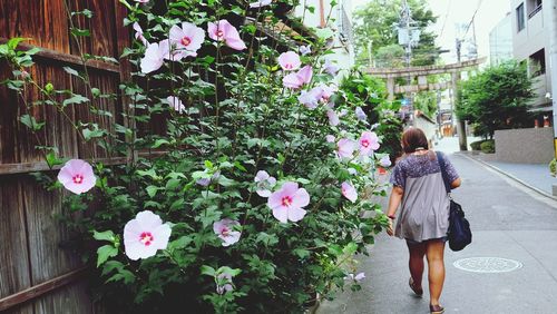 Rear view of woman walking by plants in city