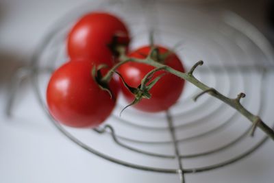 Close-up of tomatoes in plate