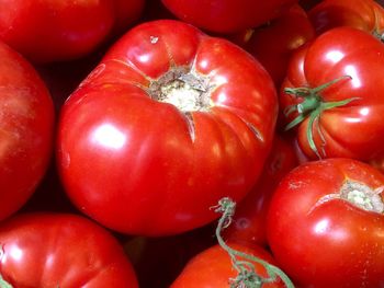 Full frame shot of tomatoes