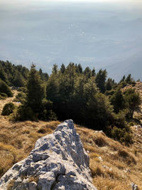 Scenic view of rocks in forest against sky