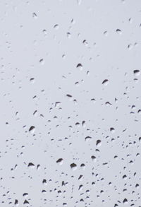 Full frame shot of raindrops on glass window