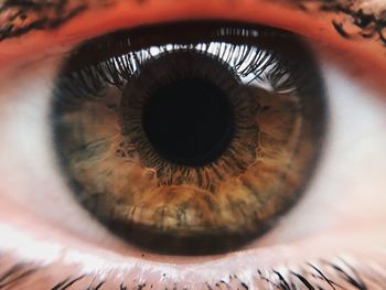 Close-up of human eye