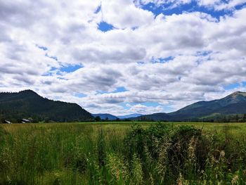 Scenic view of field against sky