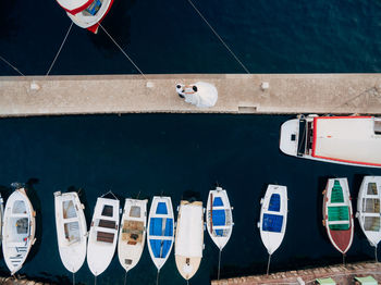 High angle view of sailboats moored in swimming pool