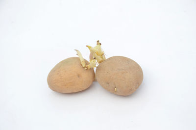 Close-up of apple against white background