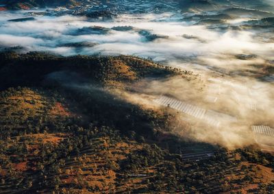 High angle view of trees on landscape against sky