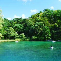 Calm lake with trees in background