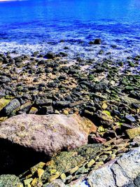 High angle view of rocks on beach