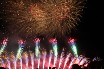 Low angle view of firework display at night