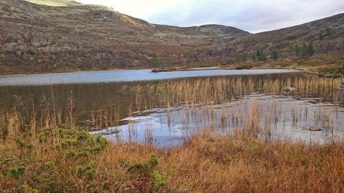 Scenic view of lake against sky