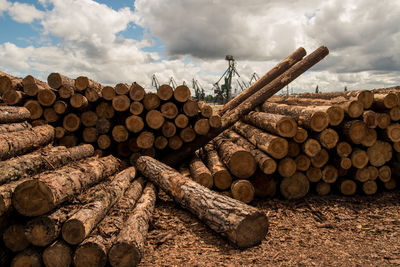 Stack of logs in front of cranes