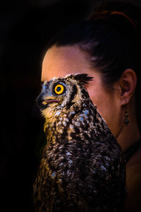 Close-up of woman with owl against black background