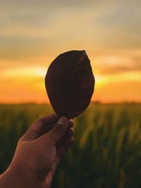 Close-up of hand holding orange leaf on field against sky during sunset