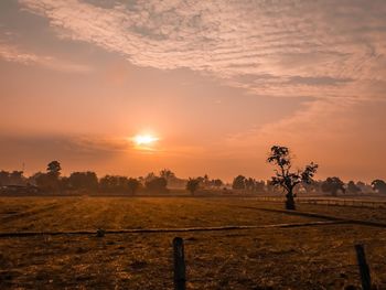 Scenic view of field against sky during sunset