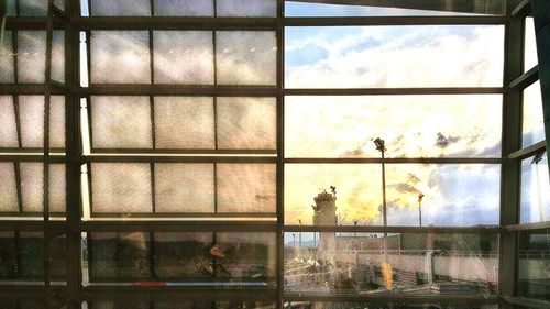 Trees against sky seen through window