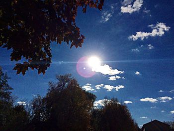 Low angle view of trees against sky