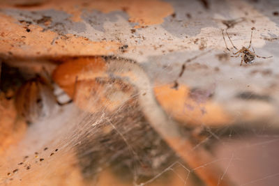 Full frame shot of rusty metal