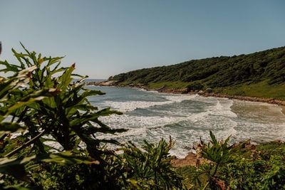 Scenic view of sea against clear sky