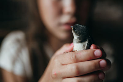 Midsection of girl holding bird