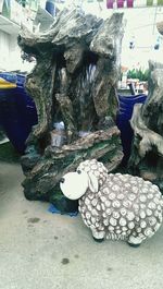 Reflection of woman in water