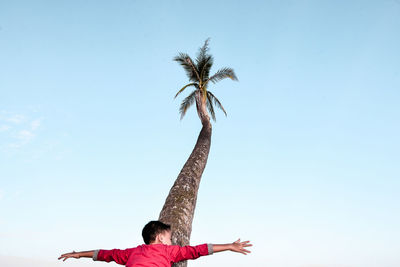 Low angle view of palm tree against clear sky