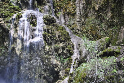 Waterfall in forest