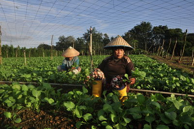 Women working at agricultural field