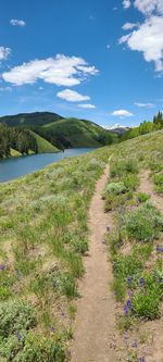 Scenic view of landscape against sky and lake