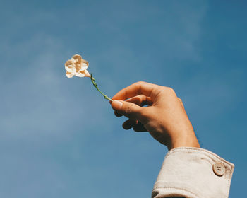 Low angle view of hand holding plant against blue sky