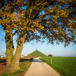 Road amidst trees on field against sky