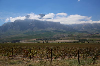 Scenic view of field against cloudy sky