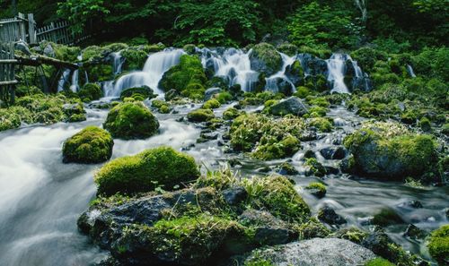 Stream flowing through rocks