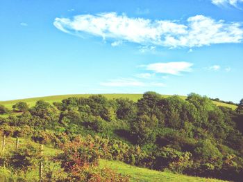 Scenic view of landscape against cloudy sky