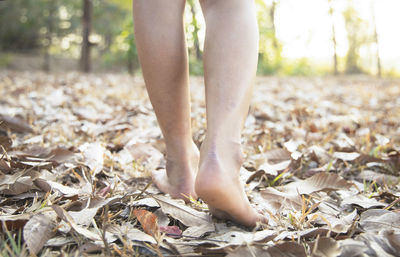 Low section of person walking in forest