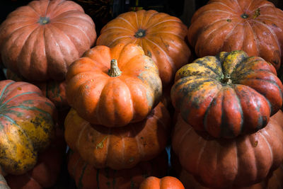 Yellow pumpkins for sale at the famous and grandiose são joaquim fair in salvador, bahia, brazil.