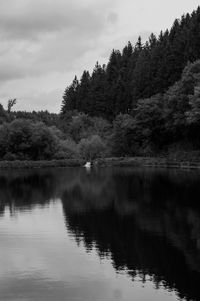 Reflection of trees in lake against sky