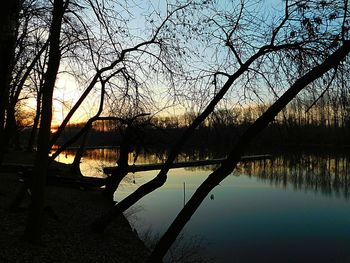 Reflection of trees in lake