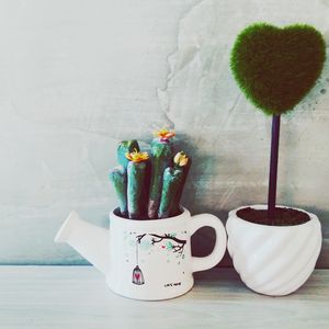 Close-up of potted plant on table against wall