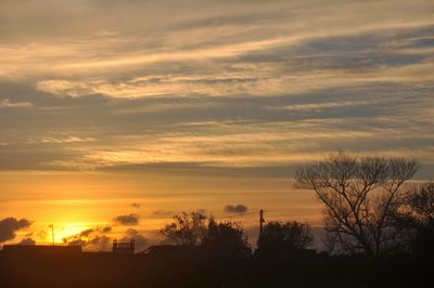 Silhouette trees against sky during sunset