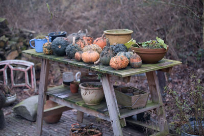 Various vegetables in market during autumn