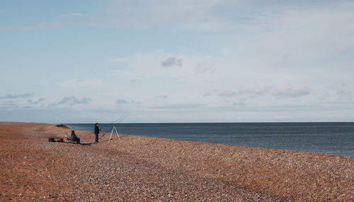 View of a dog on beach