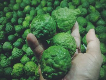 Close-up of hand holding vegetables